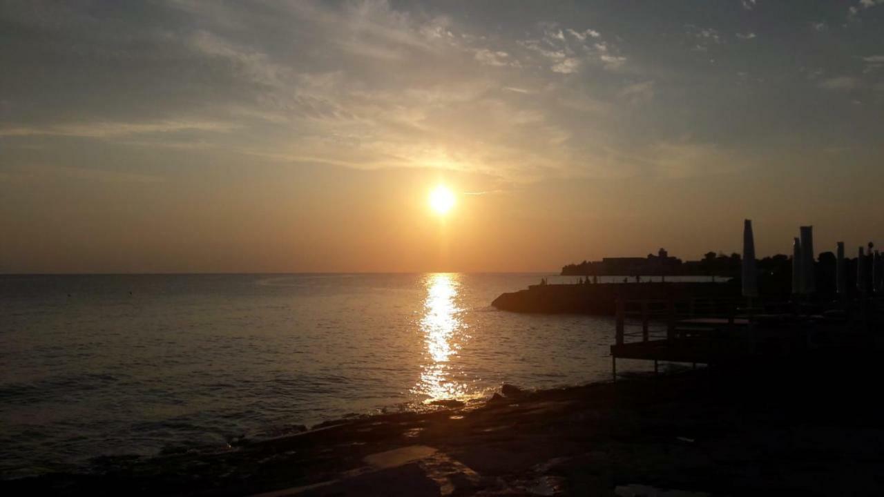 Casa Vacanze Belleville ตรานิ ภายนอก รูปภาพ